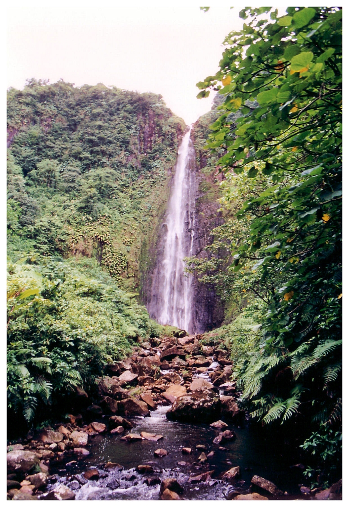 06 - Chutes du Carbet (4).jpg